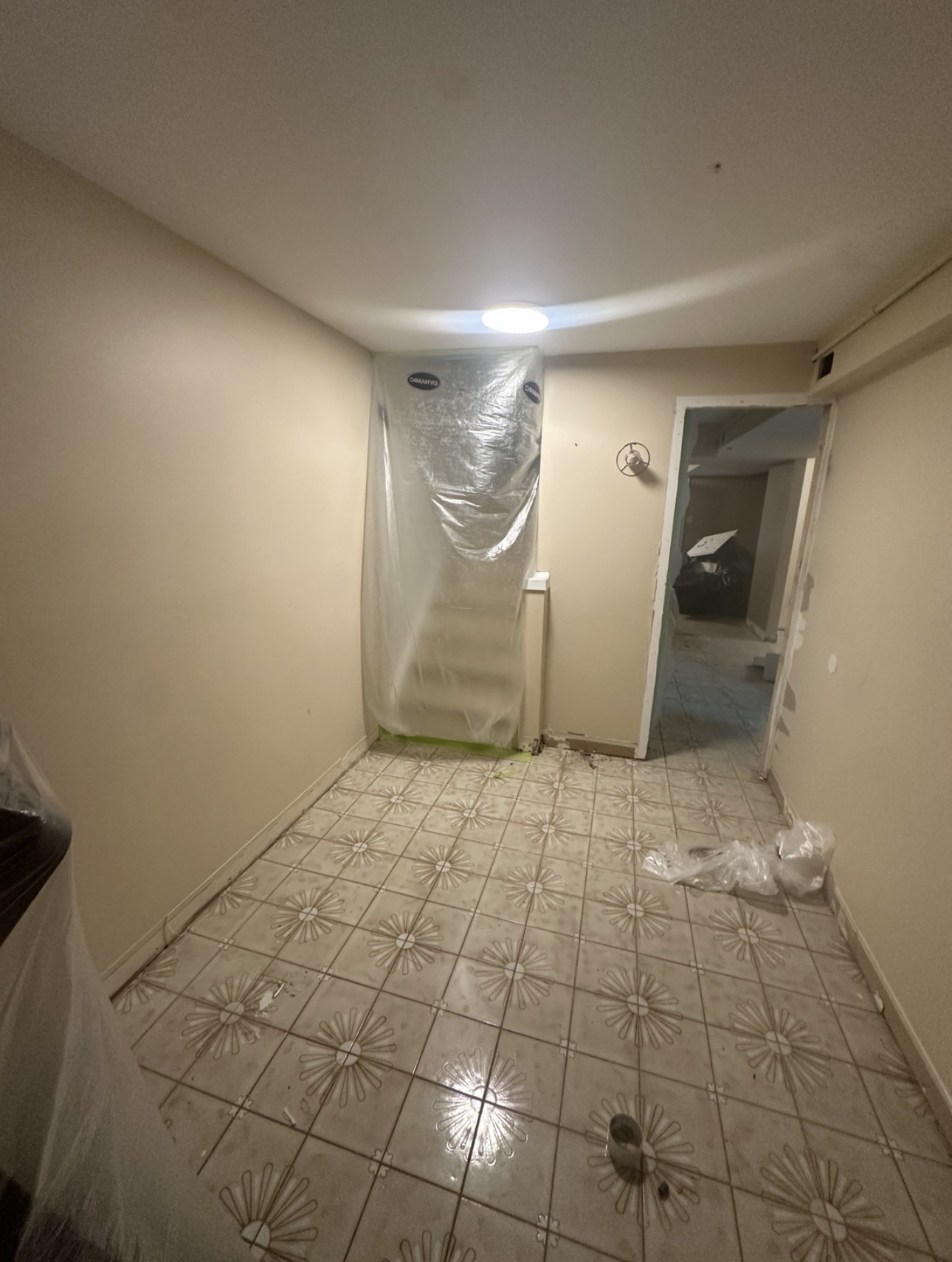 Basement before renovation